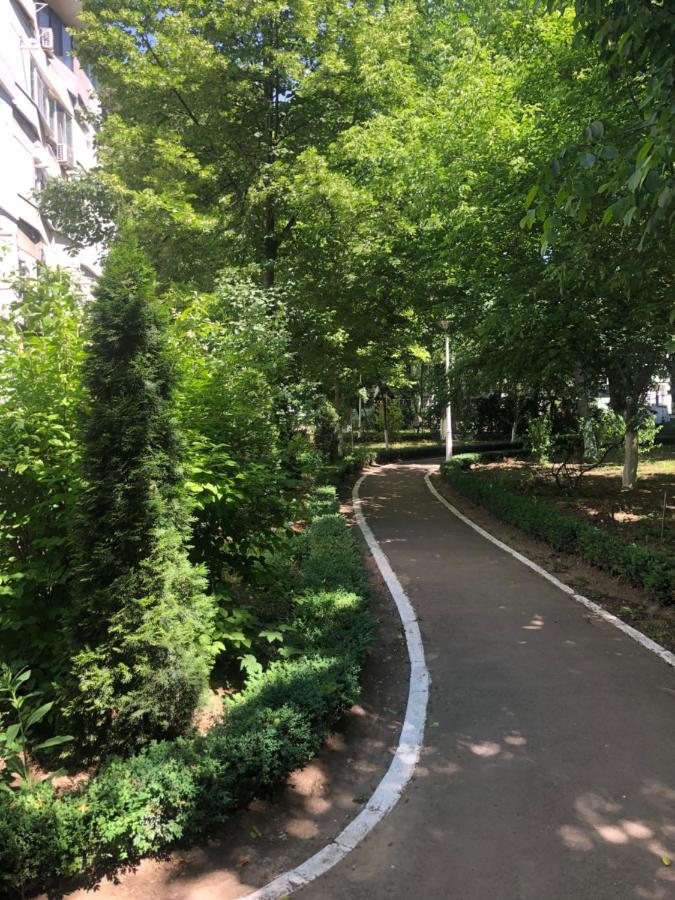 Laguna Apartament Brăila Eksteriør bilde